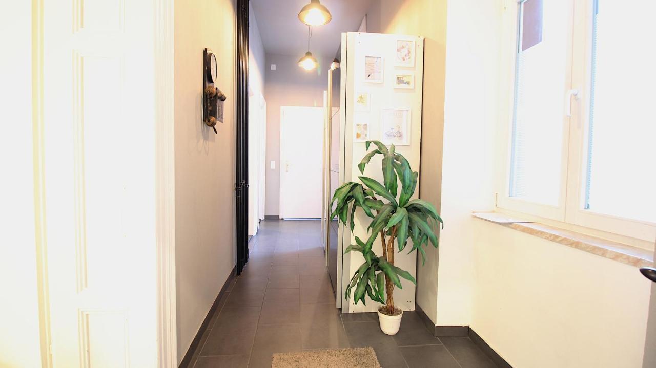 Lichtdurchflutetes Altbaustudio - Zentrum 600m Apartment